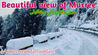 Murree live Snowfall  Murree weather  murree live today  Nathia gali weather [upl. by Akihsal]