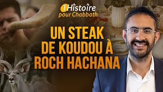 UN STEAK DE KOUDOU À ROCH HACHANA 🐏 HISTOIRE STUPÉFIANTE Binyamin Benhamou [upl. by Wessling]