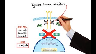 Pharmacology  CANCER DRUGS – CELL CYCLE INHIBITORS MADE EASY [upl. by Yessak]