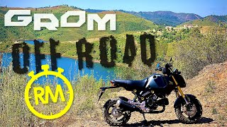 Honda Grom OFF ROAD ft Maxxis M6024 knobbly tyres QuickTest10 [upl. by Sremmus]