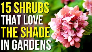 15 Shrubs That Love The Shade  Shrubs That Grow In Shade [upl. by Lezley580]