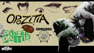 Opoziția  Pionul Live Rockwave Tavern Baia Mare 2024 [upl. by Elleirad]