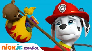 PAW Patrol Patrulla de cachorros  Marshall se toma un descanso  Nick Jr en Español [upl. by Llevert]