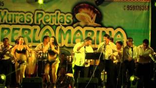 AGONIA DE AMOR Yuras Perla Perla Marina Concierto 2016 HD [upl. by Neill564]