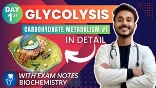 Chp14 Part1 Satyanarayana Biochemistry  Introduction to LIPID Metabolism  Dr Asif Lectures [upl. by Hameerak]