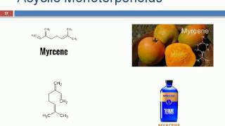 Terpenoids ppt [upl. by Corty799]