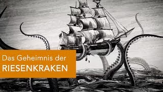 Das Geheimnis der RIESENKRAKEN [upl. by Aelam]