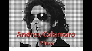 Andres Calamaro Flaca en 8 Bit [upl. by Anirtac]