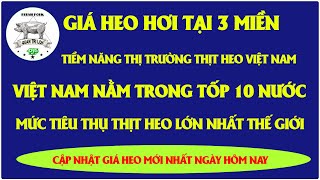 Giá heo hơi hôm nay  Việt Nam nằm trong số 10 quốc gia có mức tiêu thụ thịt heo lớn nhất thế giới [upl. by Eecyak309]