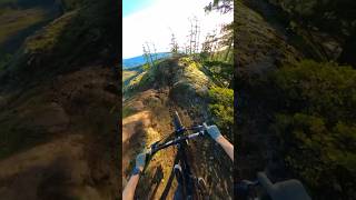 I rode in MTB Dreamland Underrated mountainbiking pov [upl. by Eyllib699]