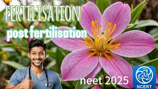 Fertilisation and Post Fertilisation Events in Flowering Plants ncert neet 2025 in hinglish [upl. by Fatima]