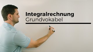 Integralrechnung Grundvokabel Hauptsatz Flächenberechnung  Mathe by Daniel Jung [upl. by Steel]