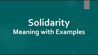 Solidarity Meaning  Best 6 Definitions of Solidarity  Solidarity Example Sentences [upl. by Ylyl]