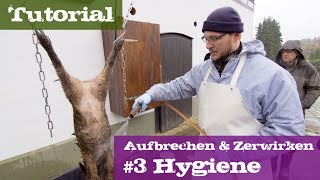 3 Hygiene  Schwarzwild  Lehrgang Aufbrechen amp Zerwirken [upl. by Raveaux]