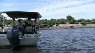 Elephant Valley Lodge  Chobe  Botswanampeg [upl. by Kamilah184]