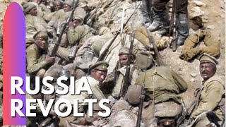 Russia Revolts in 1917  Democracy is given a chance [upl. by Dillie]