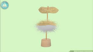 How to Build a Calorimeter [upl. by Koralle]