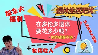 惊人真相！10年后、20年后，在多伦多退休要花多少钱？你的钱够不够？加拿大的养老金从哪里来？退休以后住养老院还是雇佣私人护士上门服务？怎样规划才能确保未来的退休生活无忧？退休后的免税收入有哪些？ [upl. by Nannaihr]