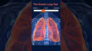 Test Human Lungs [upl. by Lilithe7]