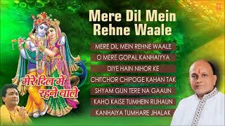 Mujhe Aap Ne Bulaya by Vinod Agarwal  Krishna Bhajan  Devotional Songs In Hindi  Eagle Devotional [upl. by Pare]