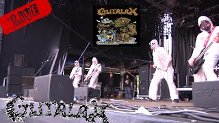 GUTALAX Live 2019 At Extremfest  Germany Grindcore Extrem [upl. by Blithe818]