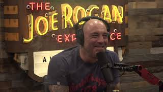 Joe Rogan Experience 1733  Snoop Dogg [upl. by Adnolohs962]