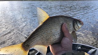 Spring feeder fishing in Ireland [upl. by Alenairam]