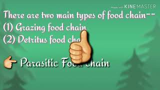 Food Chain  Types of Food Chains  Grazing Food Chain  Detritus Food Chain [upl. by Eiluj44]