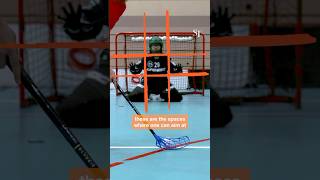 How to score better in floorball [upl. by Charline980]