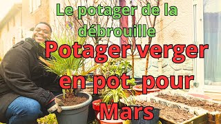 Potager verger en pot pour Mars [upl. by Bocock]