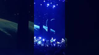 Flaca  Andres Calamaro  Movistar Arena 16112023 [upl. by Edyaj]