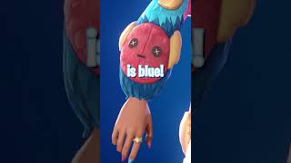 Top 5 Fingernails in Fortnite [upl. by Raoul442]