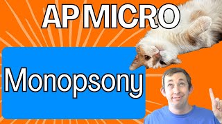 Monopsony in 3 Minutes  AP Micro Struggle 54 [upl. by Neleb]