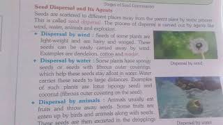 Reproduction in plants Class 5 part 4 [upl. by Anauqahs]