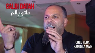 Cheb Reda 2024  Galbi Datah ماتو بالحر ©️ Avec Hamid La Main Live Mariage [upl. by Herrod372]