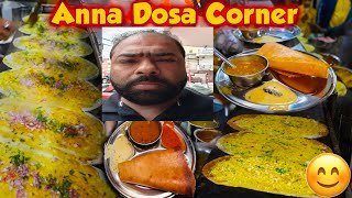 Famous Dosa in Saket Anna Dosa ❤️ SUNNY AMBAWATA VLOGS 👌💯 [upl. by Llednol854]