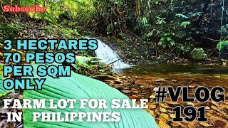 vlog191 FARM LOT FOR SALE IN PHILIPPINES  3HAS 70SQM ONLY VLOG188 1ST VIDEO [upl. by Tasiana714]