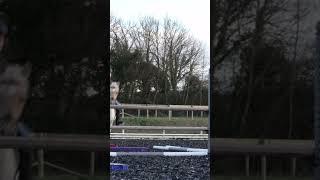 Harlow and Popcorn Jumping Over 1 Metre 1metre equestrian [upl. by Cousin]