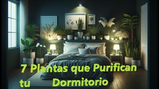 Transforma tu Dormitorio con estas 7 Plantas Saludables Beneficios de cada planta mientras dormimos [upl. by Arehc]