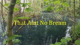 Stalking Shoulders  Yateley Copse Lake [upl. by Janey]