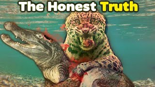 JAGUAR vs CAIMAN  The Honest Truth [upl. by Clarita590]