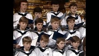 Haydn Theresienmesse GLORIA  Vienna Boys Choir [upl. by Eneleh226]