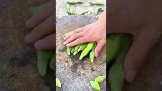 Cutting process of edamame [upl. by Nedmac211]