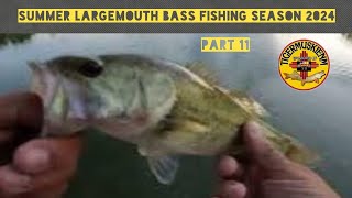 SUMMER LARGEMOUTH BASS FISHING SEASON 2024 PART 11 [upl. by Yennek]