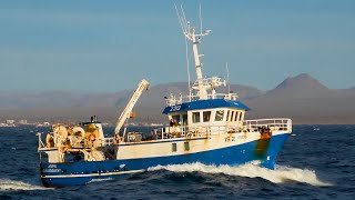 2313 Ásdís ÍS 2  Fishing Trawler  Iceland [upl. by Willamina239]