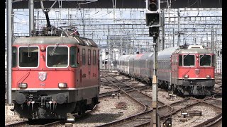 Zürich Hauptbahnhof  SBB CFF FFS Re 420 430  Re 44 II III BoBo  Zugbewegungen August 2023 [upl. by Betthezul358]