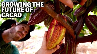 Growing the Future of Cacao  Ep94  Craft Chocolate TV [upl. by Vadnee]