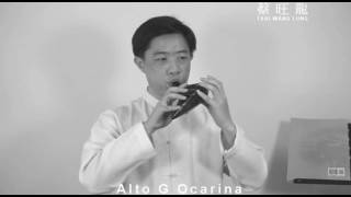 女人花／A G Ocarina／中音G調陶笛吹奏版 [upl. by Savior478]