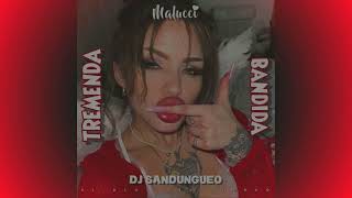 MALUCCI  Tremenda Bandida Remix Dj Sandungueo Reggaetón Peruano [upl. by Aihseuqram542]