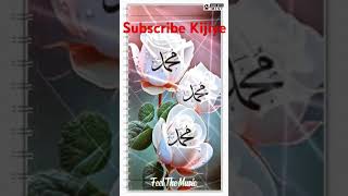 Subscribe Kijiye  allahmuhammadallah islamic musalman muslim ytshorts shorts Afroz Alam 786 [upl. by Montague132]